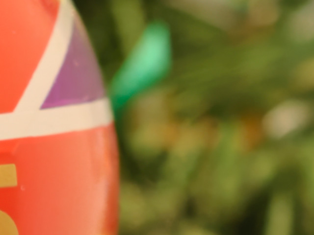 Nikon D40 with 18-55mm AFS VR II lens - Test shot 02 - 55mm - Crop Denoised