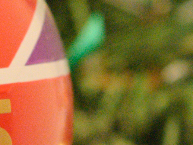 Nikon D40 with 18-55mm AFS VR II lens - Test shot 02 - 55mm -  RAW Crop